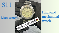 Mechanical watch