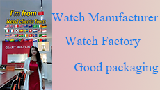 Watch manufacturer
