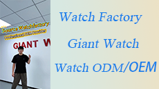How to find a professional watch factory