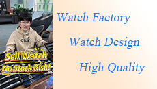 Bulid your own watch brand