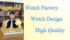 High quality watch factory