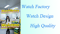 Are you worried about the quality of the watch?