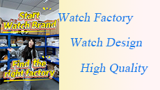 Let us work together to build a watch brand